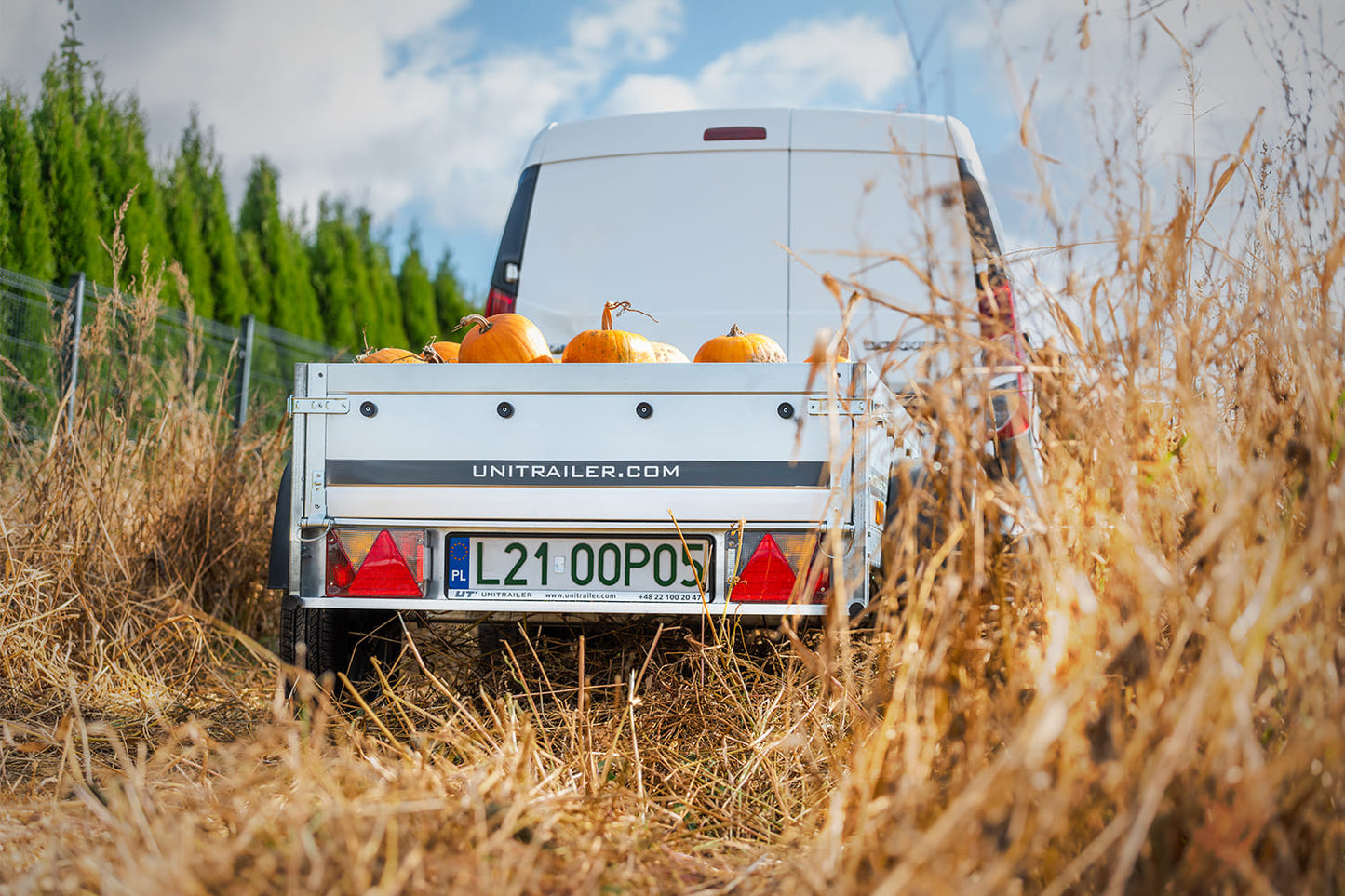 Kleiner Anhänger Garden Trailer 150 KIPP 150x106 cm 750kg